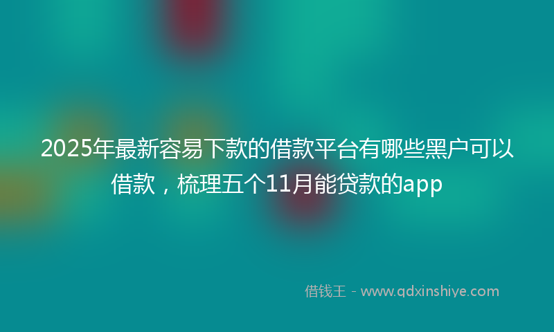 2025年最新容易下款的借款平台有哪些黑户可以借款，梳理五个11月能贷款的app