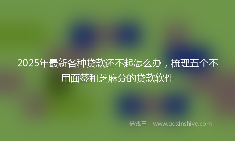 2025年最新各种贷款还不起怎么办，梳理五个不用面签和芝麻分的贷款软件