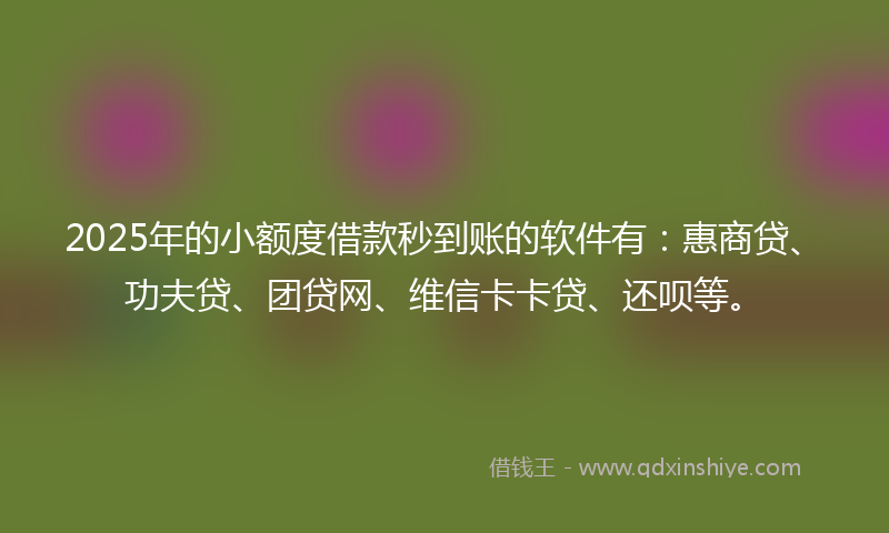2025年的小额度借款秒到账的软件有：惠商贷、功夫贷、团贷网、维信卡卡贷、还呗等。