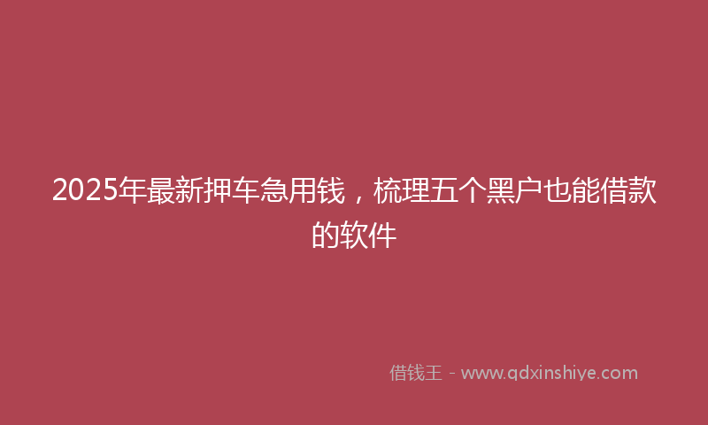 2025年最新押车急用钱，梳理五个黑户也能借款的软件