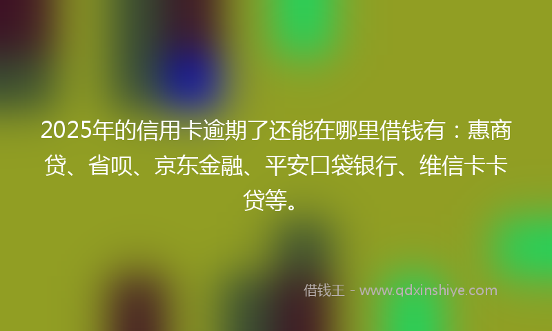 2025年的信用卡逾期了还能在哪里借钱有：惠商贷、省呗、京东金融、平安口袋银行、维信卡卡贷等。