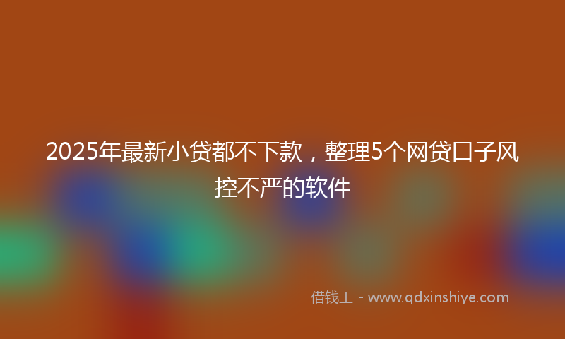 2025年最新小贷都不下款，整理5个网贷口子风控不严的软件
