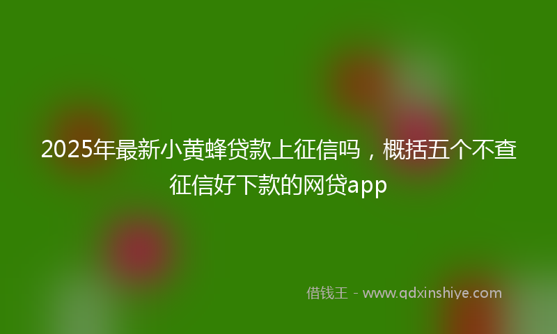 2025年最新小黄蜂贷款上征信吗，概括五个不查征信好下款的网贷app
