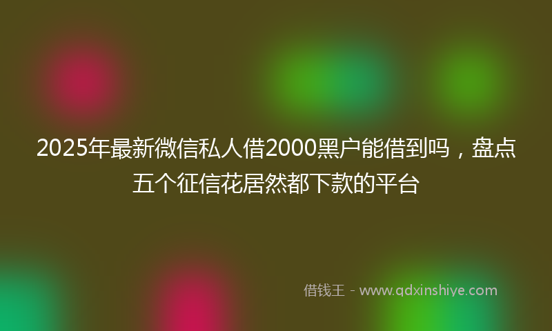 2025年最新微信私人借2000黑户能借到吗，盘点五个征信花居然都下款的平台