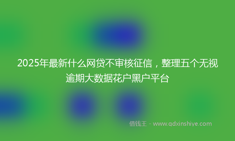 2025年最新什么网贷不审核征信，整理五个无视逾期大数据花户黑户平台