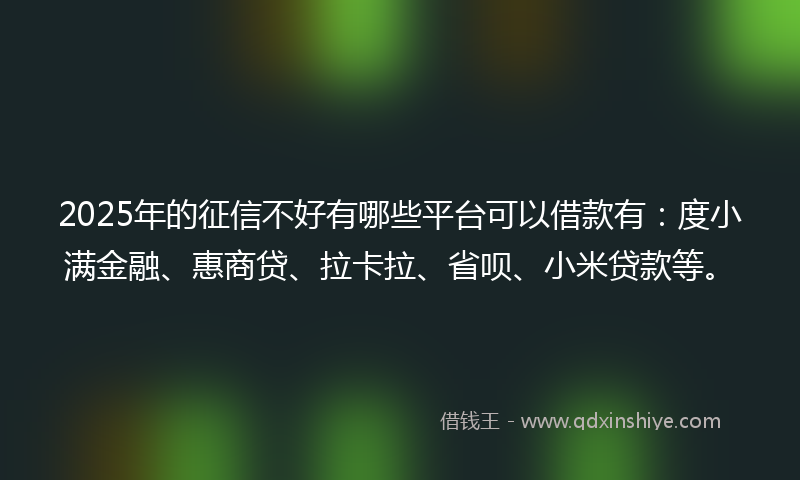 2025年的征信不好有哪些平台可以借款有：度小满金融、惠商贷、拉卡拉、省呗、小米贷款等。