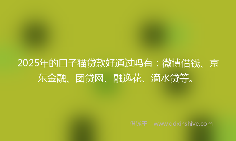 2025年的口子猫贷款好通过吗有：微博借钱、京东金融、团贷网、融逸花、滴水贷等。