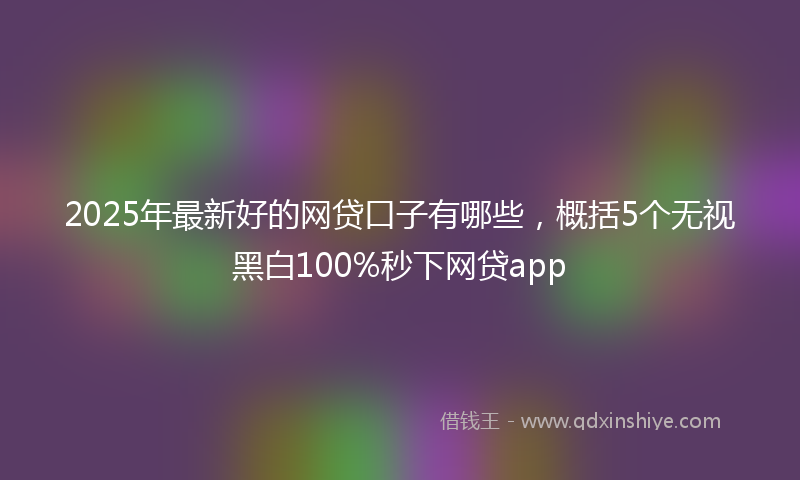 2025年最新好的网贷口子有哪些，概括5个无视黑白100%秒下网贷app