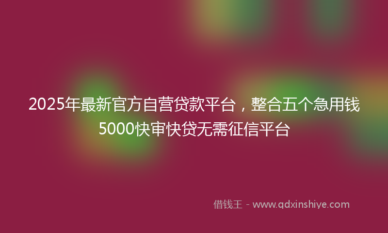 2025年最新官方自营贷款平台，整合五个急用钱5000快审快贷无需征信平台