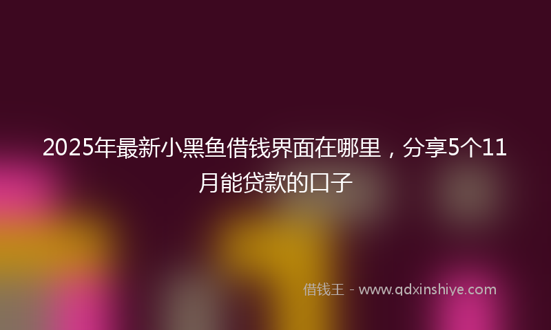 2025年最新小黑鱼借钱界面在哪里，分享5个11月能贷款的口子