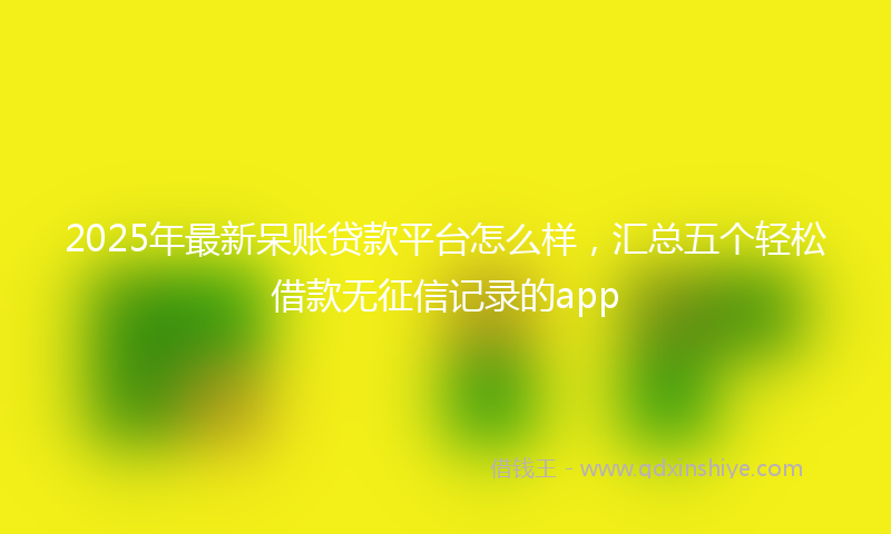 2025年最新呆账贷款平台怎么样，汇总五个轻松借款无征信记录的app