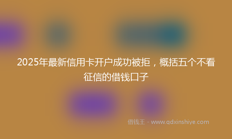 2025年最新信用卡开户成功被拒，概括五个不看征信的借钱口子