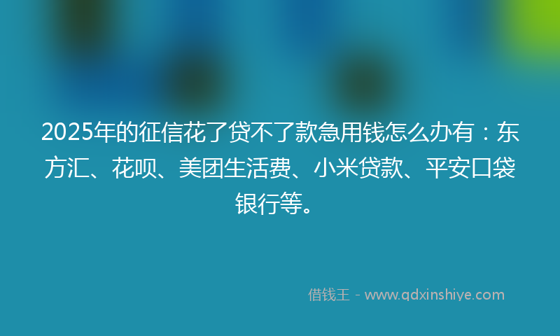 2025年的征信花了贷不了款急用钱怎么办有：东方汇、花呗、美团生活费、小米贷款、平安口袋银行等。