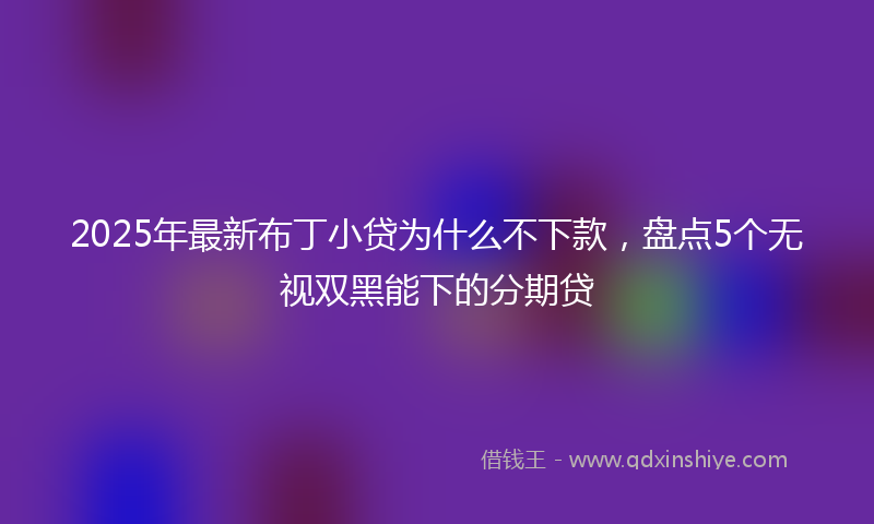 2025年最新布丁小贷为什么不下款，盘点5个无视双黑能下的分期贷