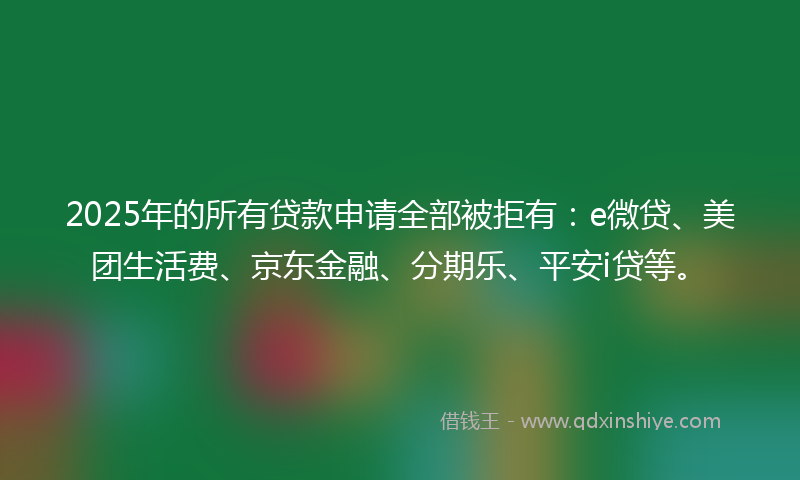 2025年的所有贷款申请全部被拒有：e微贷、美团生活费、京东金融、分期乐、平安i贷等。