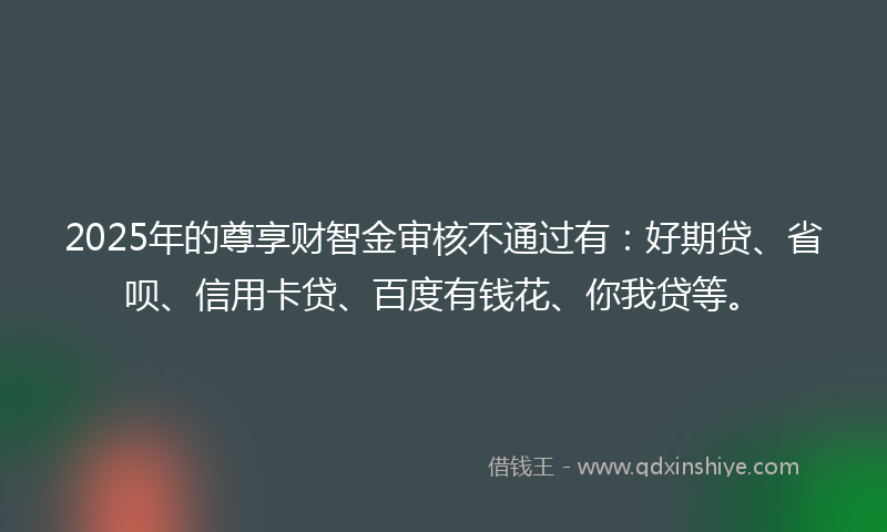 2025年的尊享财智金审核不通过有：好期贷、省呗、信用卡贷、百度有钱花、你我贷等。