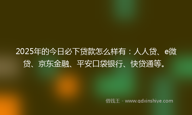 2025年的今日必下贷款怎么样有：人人贷、e微贷、京东金融、平安口袋银行、快贷通等。