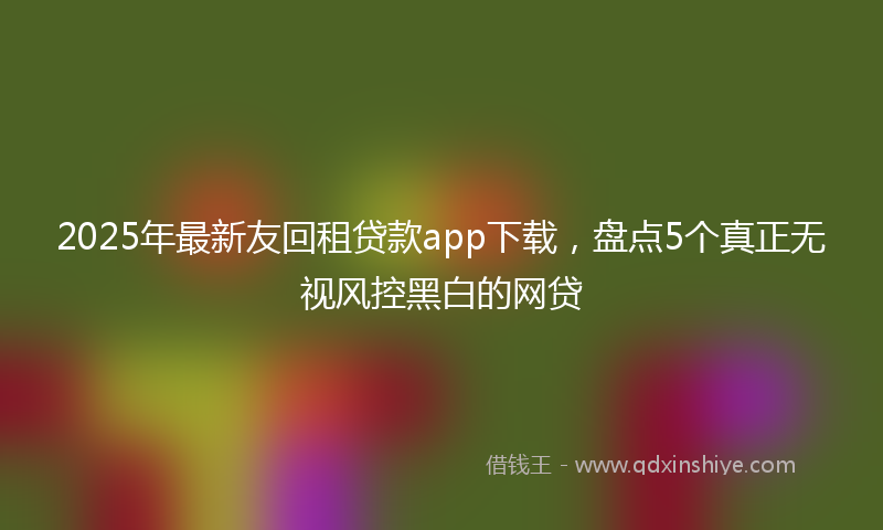 2025年最新友回租贷款app下载，盘点5个真正无视风控黑白的网贷