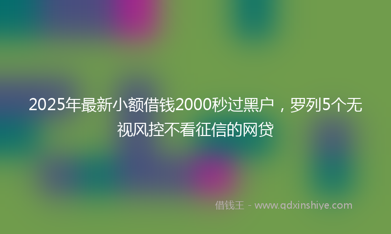 2025年最新小额借钱2000秒过黑户，罗列5个无视风控不看征信的网贷