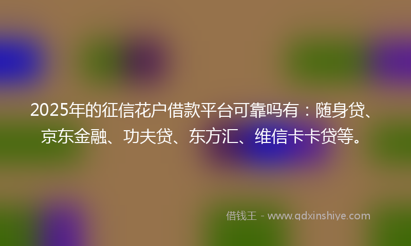 2025年的征信花户借款平台可靠吗有：随身贷、京东金融、功夫贷、东方汇、维信卡卡贷等。