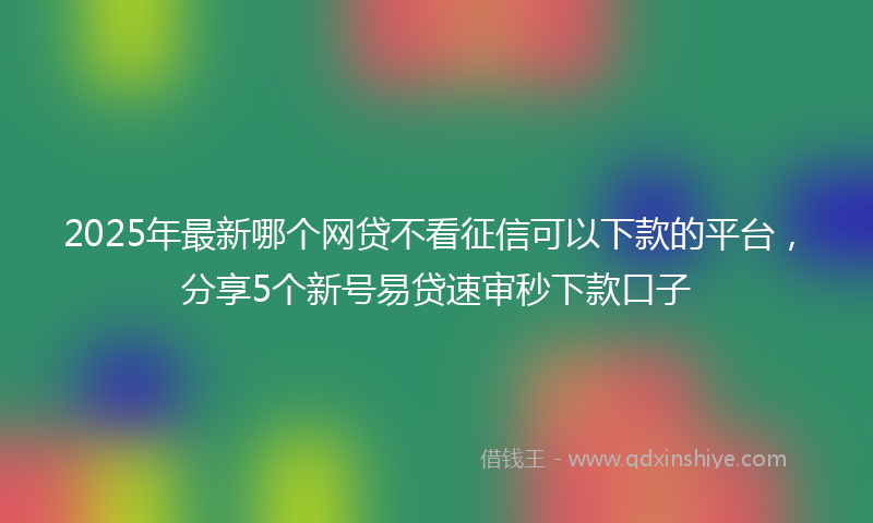 2025年最新哪个网贷不看征信可以下款的平台，分享5个新号易贷速审秒下款口子