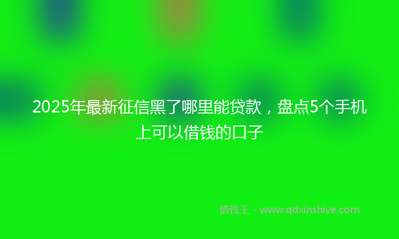 2025年最新征信黑了哪里能贷款，盘点5个手机上可以借钱的口子