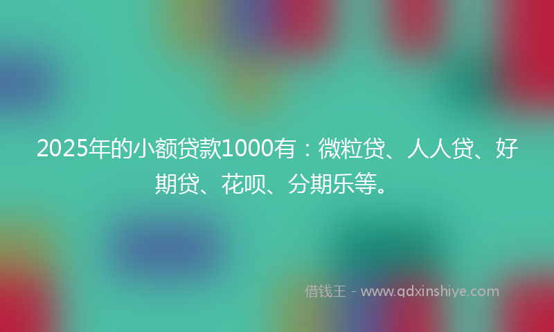 2025年的小额贷款1000有：微粒贷、人人贷、好期贷、花呗、分期乐等。