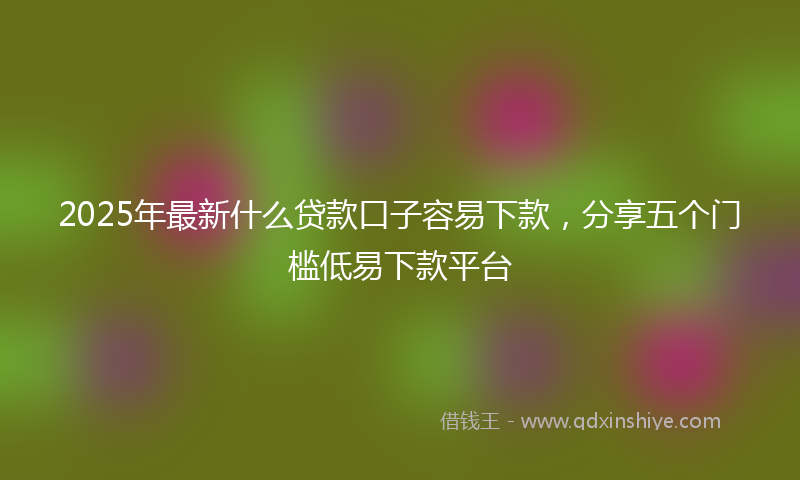 2025年最新什么贷款口子容易下款，分享五个门槛低易下款平台