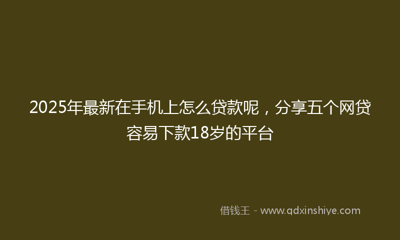 2025年最新在手机上怎么贷款呢，分享五个网贷容易下款18岁的平台