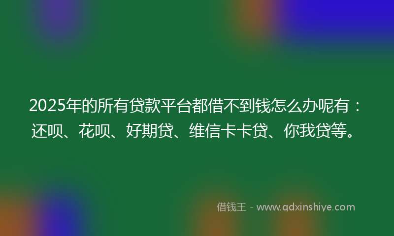 2025年的所有贷款平台都借不到钱怎么办呢有：还呗、花呗、好期贷、维信卡卡贷、你我贷等。