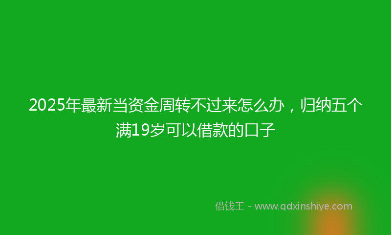 2025年最新当资金周转不过来怎么办，归纳五个满19岁可以借款的口子