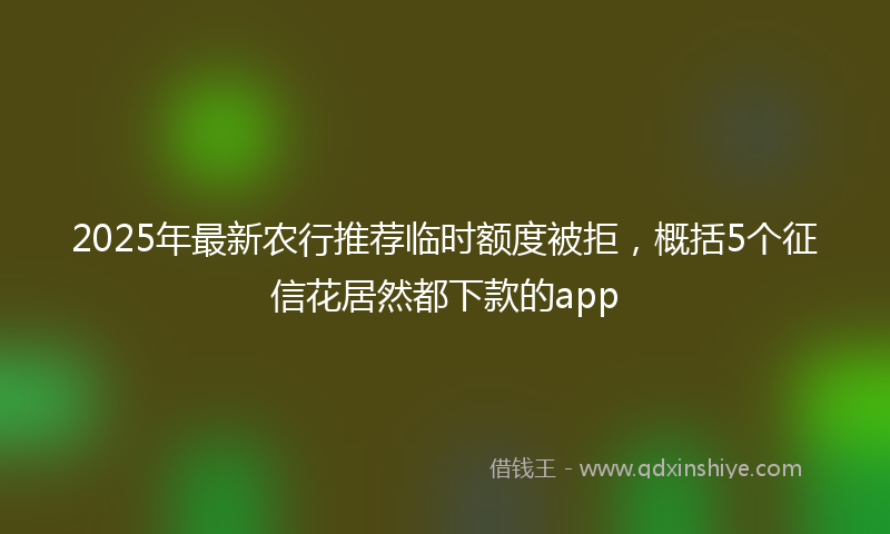 2025年最新农行推荐临时额度被拒，概括5个征信花居然都下款的app