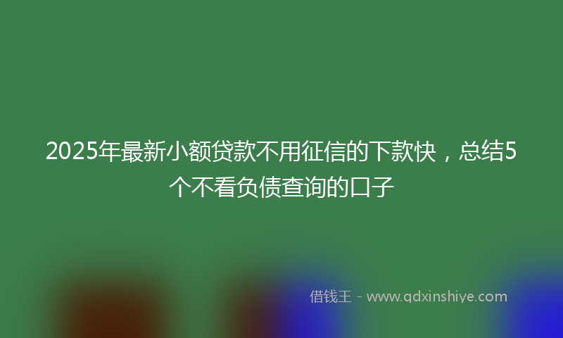 2025年最新小额贷款不用征信的下款快，总结5个不看负债查询的口子