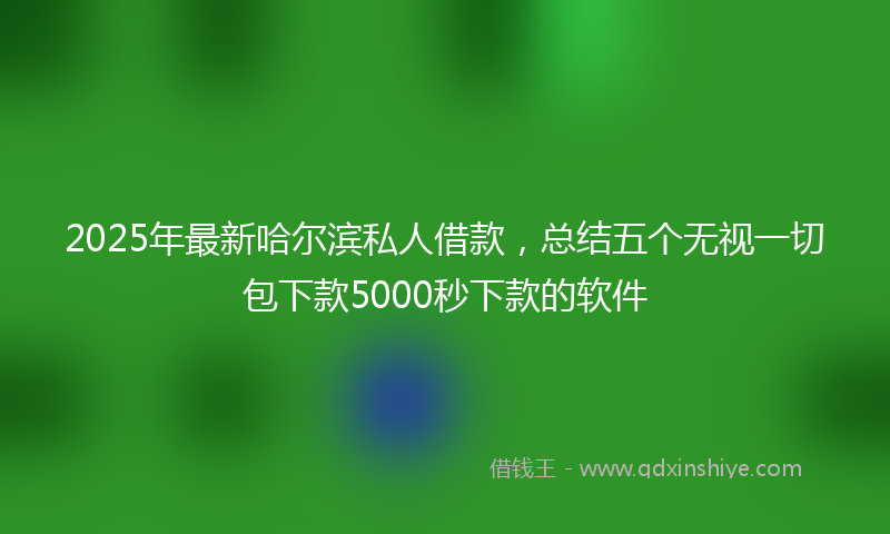 2025年最新哈尔滨私人借款，总结五个无视一切包下款5000秒下款的软件