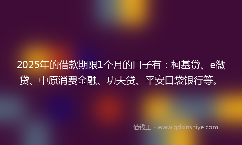 2025年的借款期限1个月的口子有：柯基贷、e微贷、中原消费金融、功夫贷、平安口袋银行等。