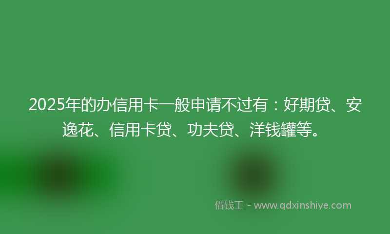 2025年的办信用卡一般申请不过有：好期贷、安逸花、信用卡贷、功夫贷、洋钱罐等。