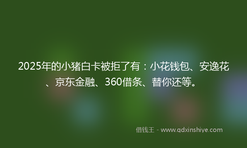 2025年的小猪白卡被拒了有：小花钱包、安逸花、京东金融、360借条、替你还等。
