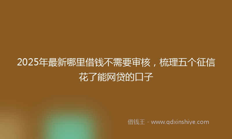 2025年最新哪里借钱不需要审核，梳理五个征信花了能网贷的口子