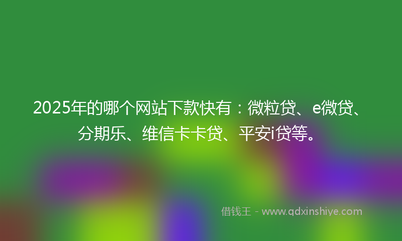 2025年的哪个网站下款快有：微粒贷、e微贷、分期乐、维信卡卡贷、平安i贷等。