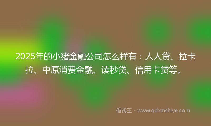 2025年的小猪金融公司怎么样有：人人贷、拉卡拉、中原消费金融、读秒贷、信用卡贷等。
