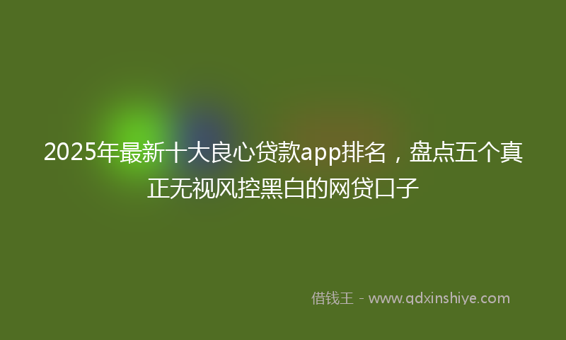 2025年最新十大良心贷款app排名，盘点五个真正无视风控黑白的网贷口子