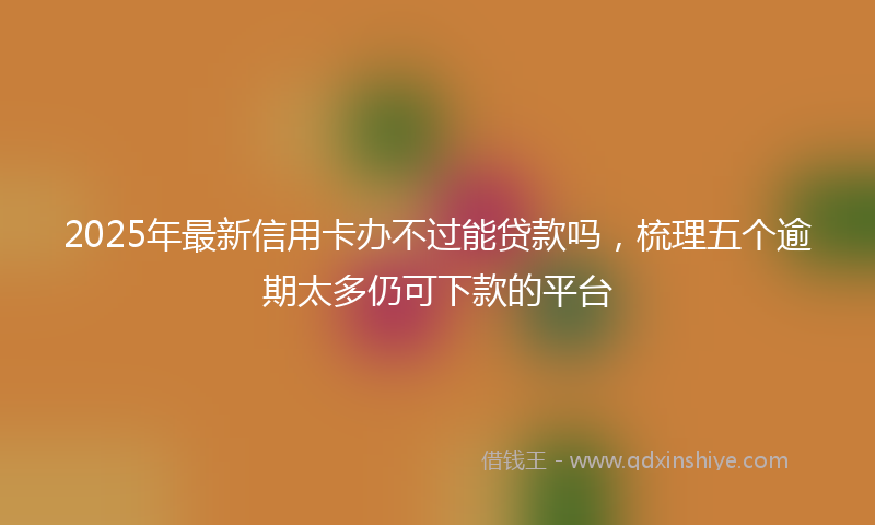 2025年最新信用卡办不过能贷款吗，梳理五个逾期太多仍可下款的平台