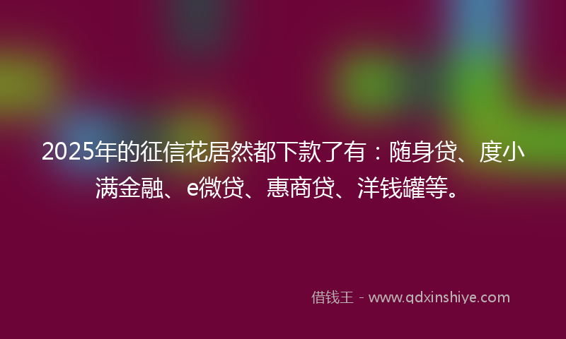 2025年的征信花居然都下款了有：随身贷、度小满金融、e微贷、惠商贷、洋钱罐等。