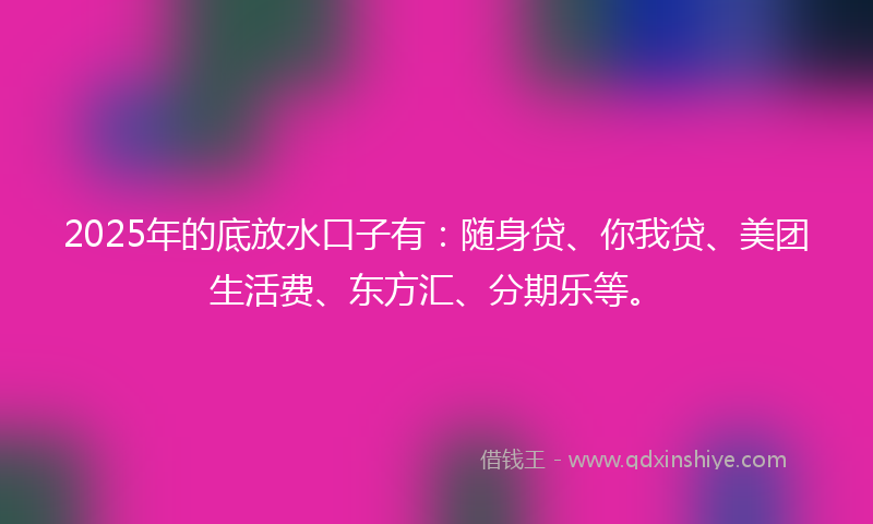 2025年的底放水口子有：随身贷、你我贷、美团生活费、东方汇、分期乐等。