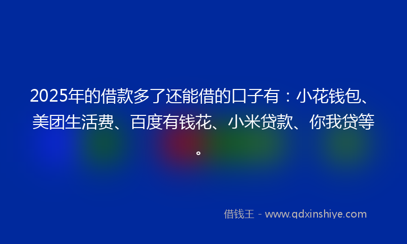 2025年的借款多了还能借的口子有：小花钱包、美团生活费、百度有钱花、小米贷款、你我贷等。