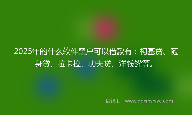 2025年的什么软件黑户可以借款有：柯基贷、随身贷、拉卡拉、功夫贷、洋钱罐等。