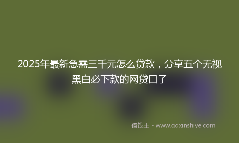2025年最新急需三千元怎么贷款，分享五个无视黑白必下款的网贷口子