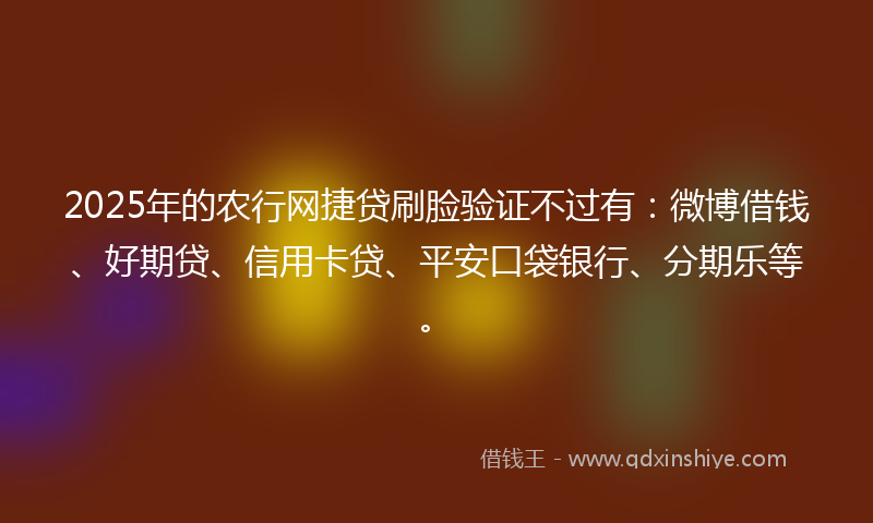 2025年的农行网捷贷刷脸验证不过有：微博借钱、好期贷、信用卡贷、平安口袋银行、分期乐等。