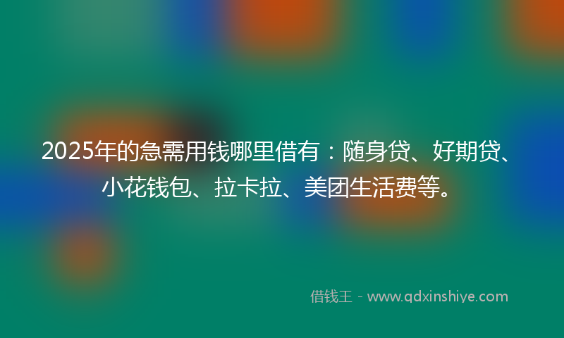 2025年的急需用钱哪里借有：随身贷、好期贷、小花钱包、拉卡拉、美团生活费等。