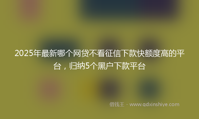 2025年最新哪个网贷不看征信下款快额度高的平台，归纳5个黑户下款平台